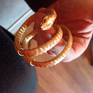 Bracelet serpent