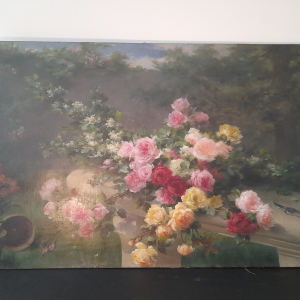 Gustave bienvetu jetée de roses sur un banc de pierres