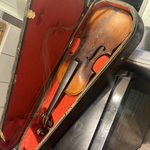 Violoncelle Jacob Stainer de 1955 ?