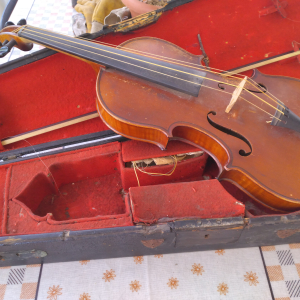 Violon genre Lupot