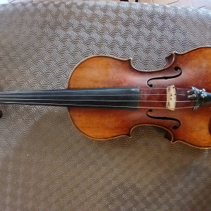 Violon