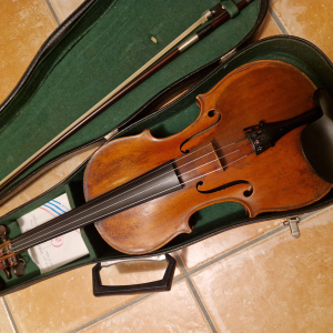 violon