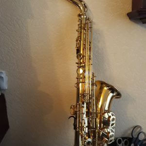 saxophone  Yanagisawa