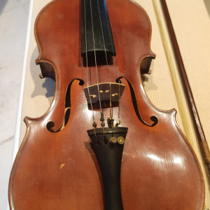 Violon