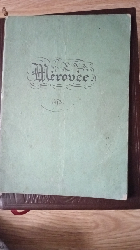 
															Journal de bord du Mérovée
														