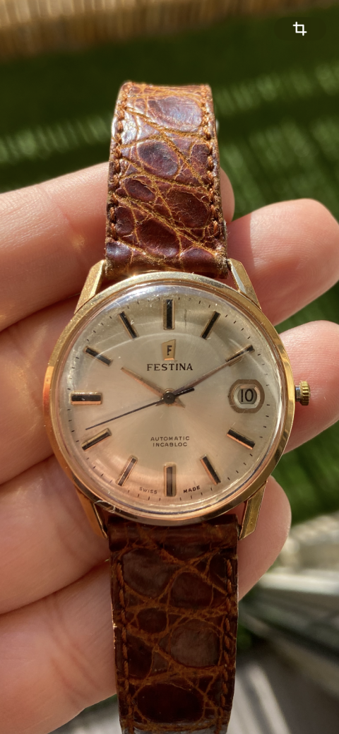 
															Festina
														