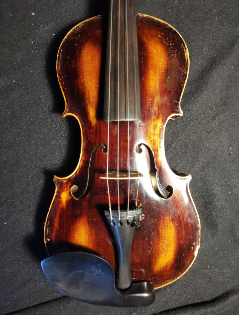 
															violon
														