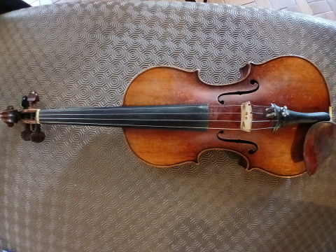 
															Violon
														