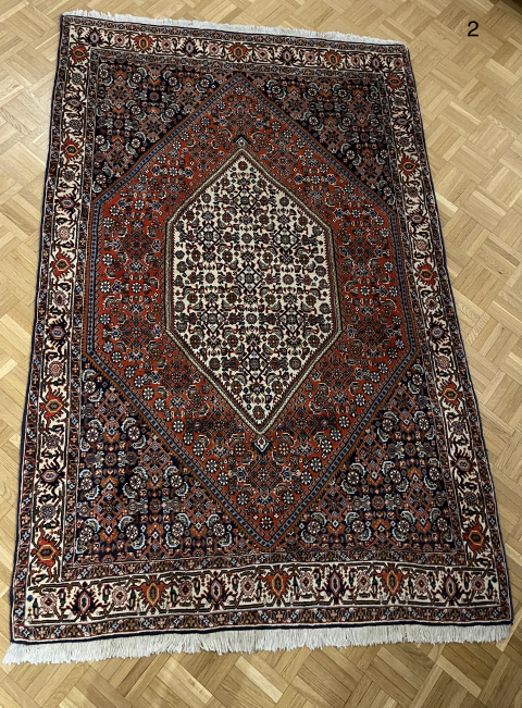 
															Tapis Iran Bidjar
														