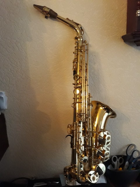 
															saxophone  Yanagisawa
														