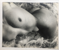 
													Photo noir et blanc « nus de la mer » 20/20  1959 Lucien Clergue
												