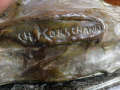 
													Bronze de KORSHANN
												