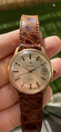 
													Festina
												