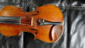 
													Violon
												