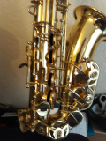 
													saxophone  Yanagisawa
												