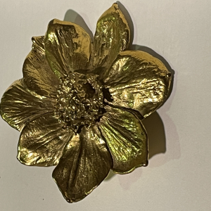 Anemone Lalanne, broche