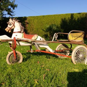 Cheval de course avec attelage