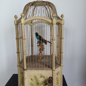 cage oiseaux ancienne
