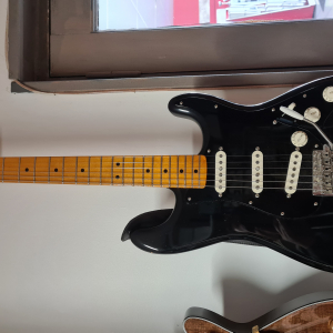 FENDER STRATOCASTER 2015 DAVID GILMOUR NOS