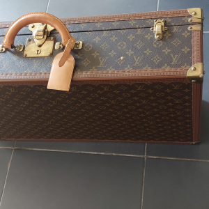 Louis Vuitton sac de voyage Alzer 80