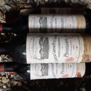 6 bouteilles PAUILLAC CHATEAU GRAND PUY LACOSTE - SAINT GUIRONS 1982