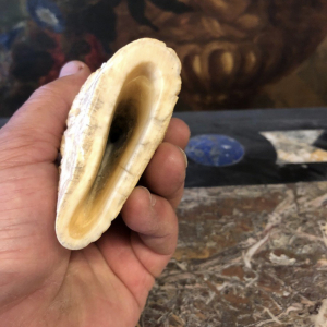 Scrimshaw dent de cachalot sculptée