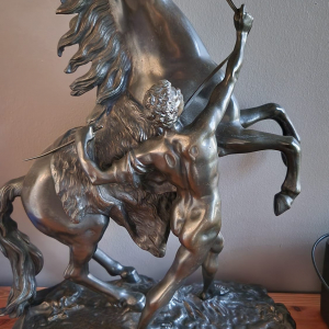 Bronze les chevaux de marly