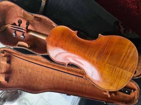 
															Violon
														