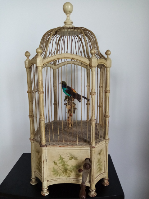 
															Cage oiseaux
														