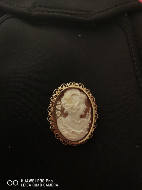 
															Bijou camée broche/pendentif
														