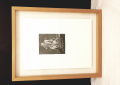 
															Zhou Tiehai "Joe Camel" serie de lithographies signée et numérotées
														
