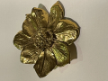 
															Anemone Lalanne, broche
														