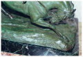
															Statue char antique en bronze de G.Ferrat
														