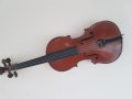 
															violon
														