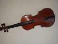 
															violon
														