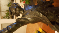 
															Statue Bronze Lafayette
														