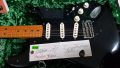 
															FENDER BLACK STRAT SIGNATURE DAVID GILMOUR "RELIC"
														