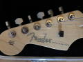 
															Fender
														