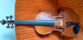 
															Violon
														