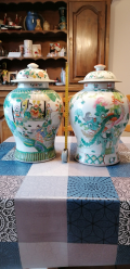 
															Deux vases chinois
														