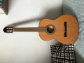 
															Guitare sèche Vicente torres VT100
														