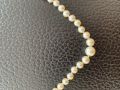 
															Collier perle
														