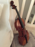 
															VIOLON ANCIEN
														