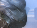 
															Nymphe en bronze sur un rocher . Signée De Maurevel
														
