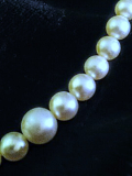 
															collier perles culture 45 cm fermoir or blanc perles de 7 mm à 5 mm 100 perles blanc nacré
														