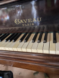 
															Piano Gaveau modèle 2 38317
														