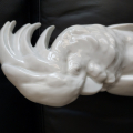 
															Sculpture perroquet cacatoès
														