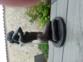 
															sculptures bronze/cire perdue signées PAUL PONSARD et DESIRE GRISARD
														