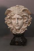 
															marbre buste medusa
														