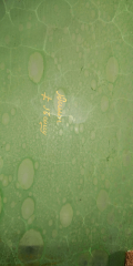 
															Vide poche motif aquatique signé Daum
														